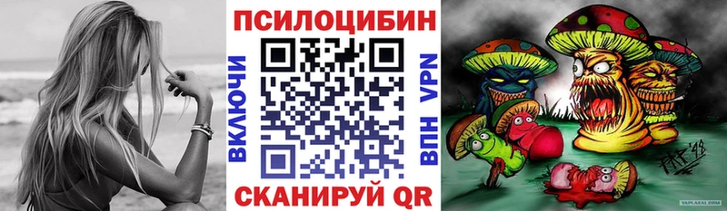 blacksprut ONION  что такое наркотик  Ачинск  Псилоцибиновые грибы MAGIC MUSHROOMS 